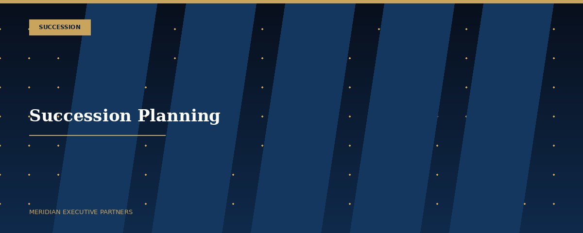 Meridian Executive Partners insight